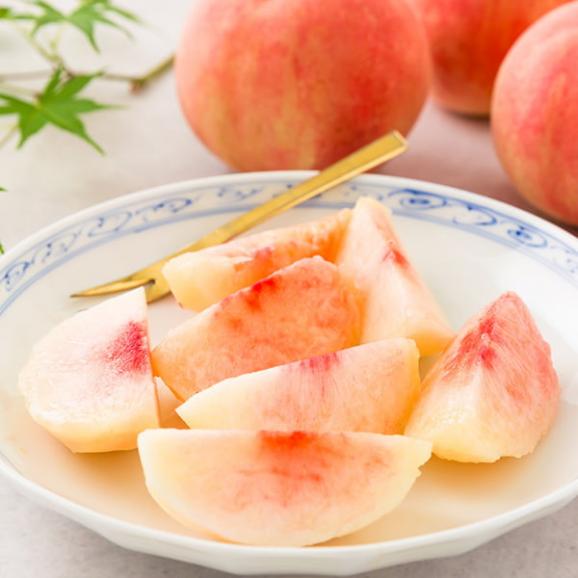 予約受付中：8月中旬頃より発送予定|プレミアム白桃 旬の品種 約2kg(6～9玉)04