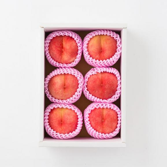 予約受付中：8月中旬頃より発送予定|プレミアム白桃 旬の品種 約2kg(6～9玉)05