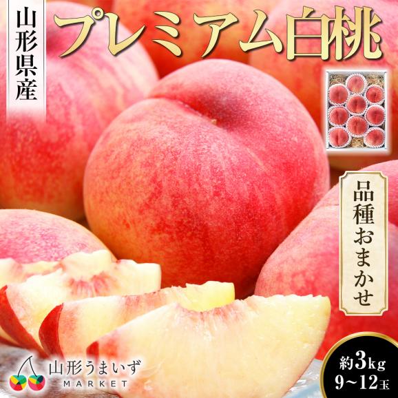 予約受付中：8月中旬頃より発送予定|プレミアム白桃 旬の品種約3kg(9～12玉)01