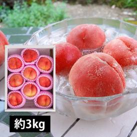 予約受付中：8月中旬頃より発送予定|プレミアム白桃約3kg(9～12玉)