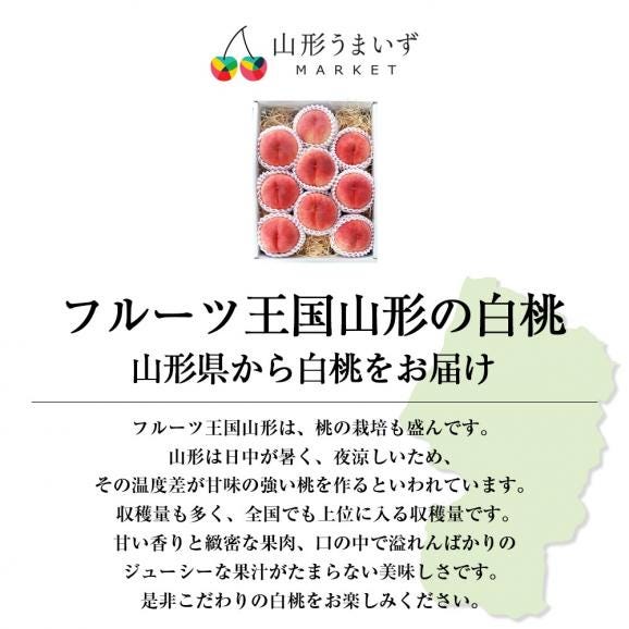 予約受付中：8月中旬頃より発送予定|プレミアム白桃約3kg(9～12玉)02