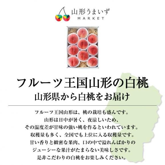予約受付中：8月中旬頃より発送予定|プレミアム白桃 旬の品種約3kg(9～12玉)02