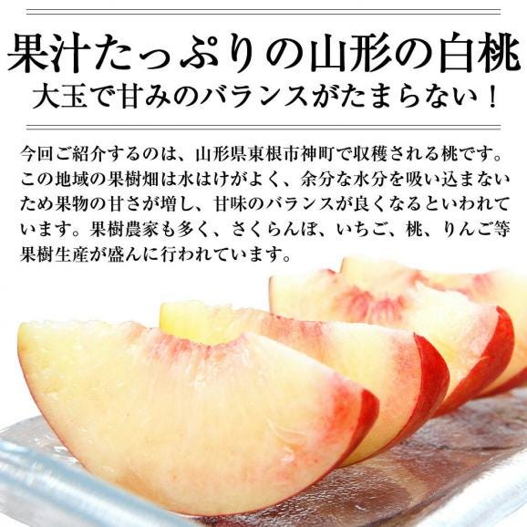 予約受付中：8月中旬頃より発送予定|プレミアム白桃約3kg(9～12玉)03