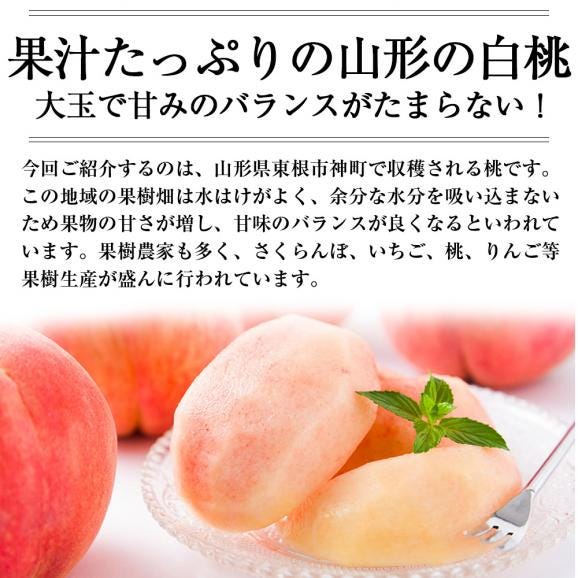 予約受付中：8月中旬頃より発送予定|プレミアム白桃 旬の品種約3kg(9～12玉)03
