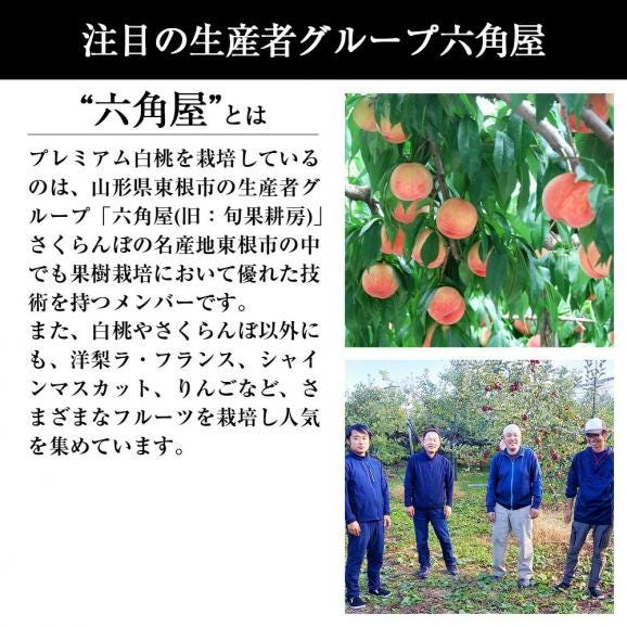 予約受付中：8月中旬頃より発送予定|プレミアム白桃約3kg(9～12玉)04
