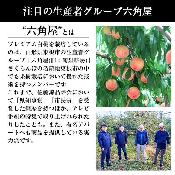 プレミアム白桃約3kg(9～12玉)04