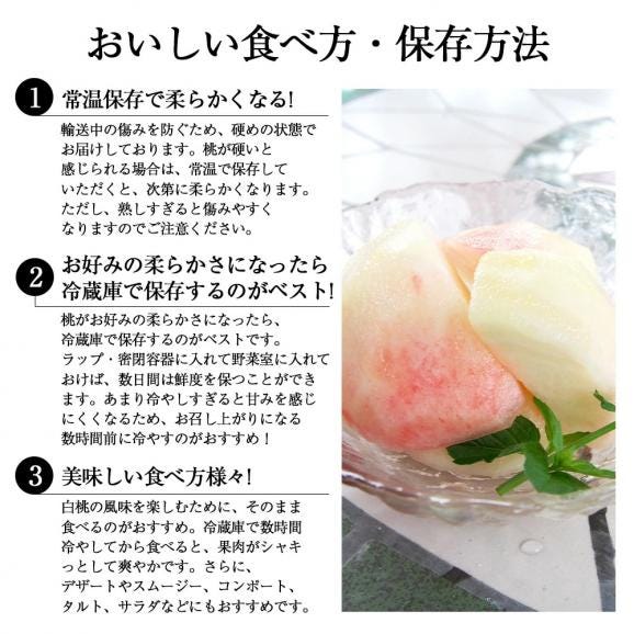 予約受付中：8月中旬頃より発送予定|プレミアム白桃 旬の品種約3kg(9～12玉)04