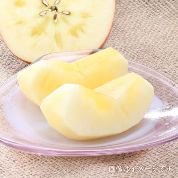 【2025年完売】2026年10月頃?予約開始予定堀農園の朝日町サンふじりんご約3kg(10玉前後)02