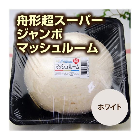 【販売終了】舟形超スーパージャンボマッシュルーム03