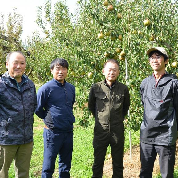 2025年9月頃～予約開始予定|《旬果》プレミアム洋梨ラフランスと【蜜入り保証】ふじりんご約1kg[桐箱入]06