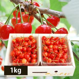  予約受付中：6月中旬頃より発送予定|プレミアムさくらんぼ佐藤錦1kgバラ詰Lサイズ以上(500g×2)