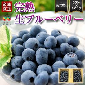 予約受付中：7月中旬頃より発送予定|山形の完熟生ブルーベリー約700g(350g×2パック)