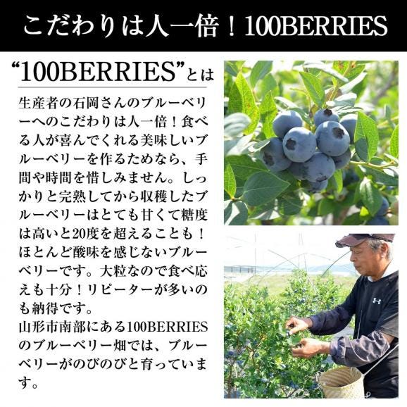  予約受付中：7月下旬頃より発送予定|山形の完熟生ブルーベリー約700g(350g&times;2パック)04