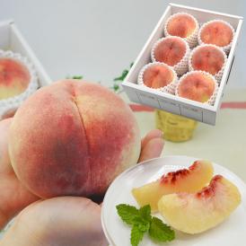 2025年7月頃～予約開始予定|プレミアム白桃 西王母 約2kg(5～6玉)