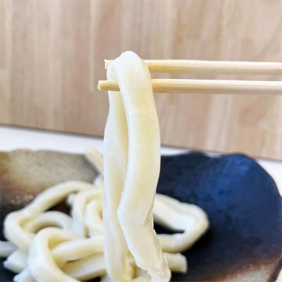 【冬季限定】山形の打饂飩(ぶつうどん)(230g×10袋)02