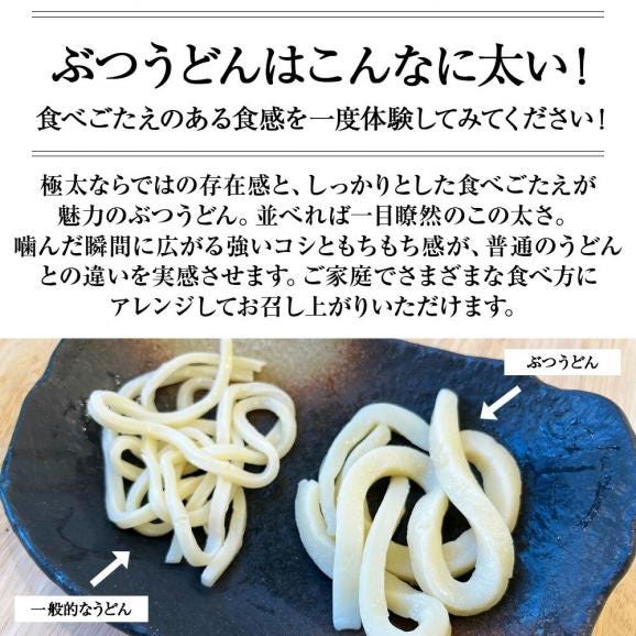 【冬季限定】山形の打饂飩(ぶつうどん)(230g&times;10袋)04