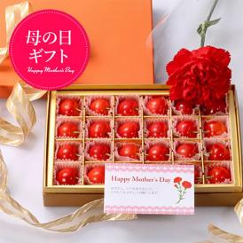 【母の日ギフト】さくらんぼ佐藤錦Lサイズ[ギフトBOX入り][生カーネーション付]