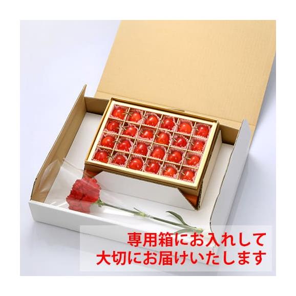 【母の日ギフト】さくらんぼ佐藤錦Lサイズ[ギフトBOX入り][生カーネーション付]04