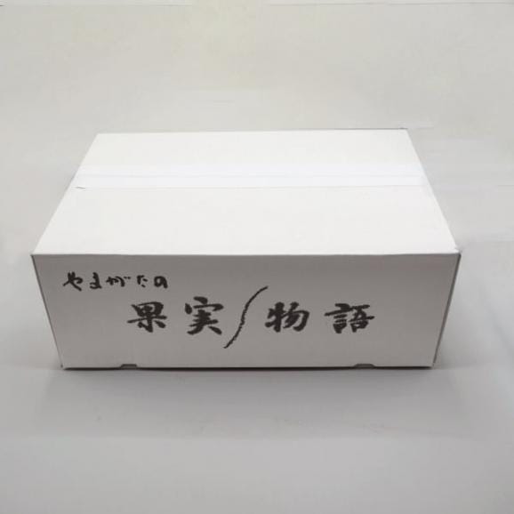 【2025年完売】2026年7月頃～予約開始予定|特選洋梨マリゲットマリーラ約3kg(4～7玉)06