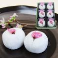 かすり家／【受験生応援菓子】桜さく大福(6ヶ入り)