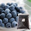 《訳あり》【冷凍】山形の完熟ブルーベリー約1kg