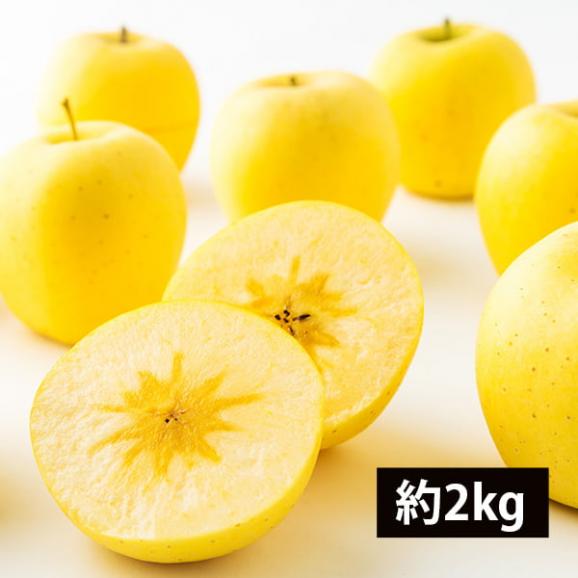 予約受付中：11月下旬頃より発送予定|【数量限定】プレミアムりんごはるか約2kg(6～9玉)01
