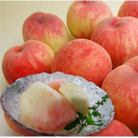 《訳あり》白桃 品種おまかせ約3kg（7～15玉）
