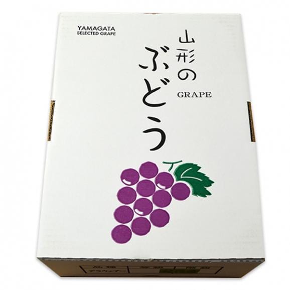 2024年5月頃～予約開始予定|山形本沢ぶどうデラウエア約2kg(L～3L/10～16房)05