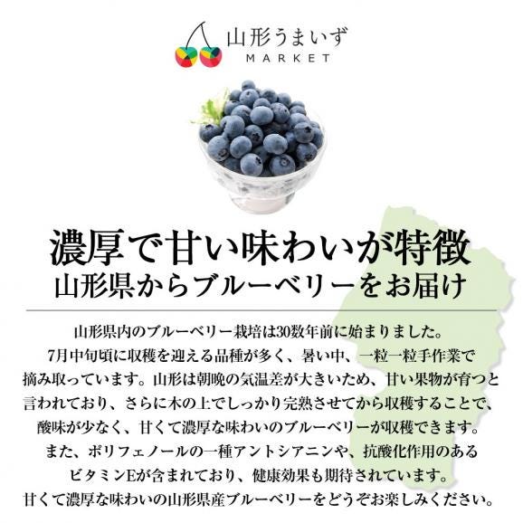 予約受付中：7月中旬頃より発送予定|山形の完熟生ブルーベリー約1kg(500g×2パック)02