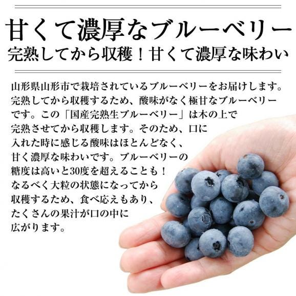 予約受付中：7月中旬頃より発送予定|山形の完熟生ブルーベリー約1kg(500g×2パック)03