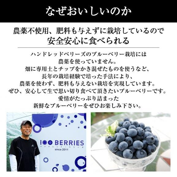 予約受付中：7月中旬頃より発送予定|山形の完熟生ブルーベリー約1kg(500g×2パック)05