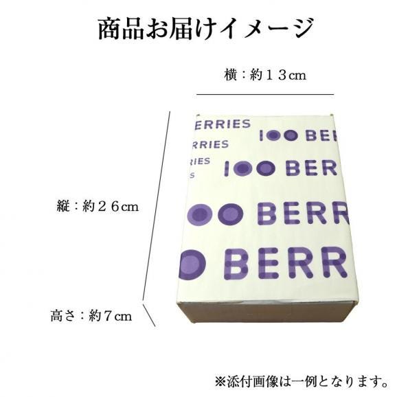 予約受付中：7月中旬頃より発送予定|山形の完熟生ブルーベリー約1kg(500g×2パック)06
