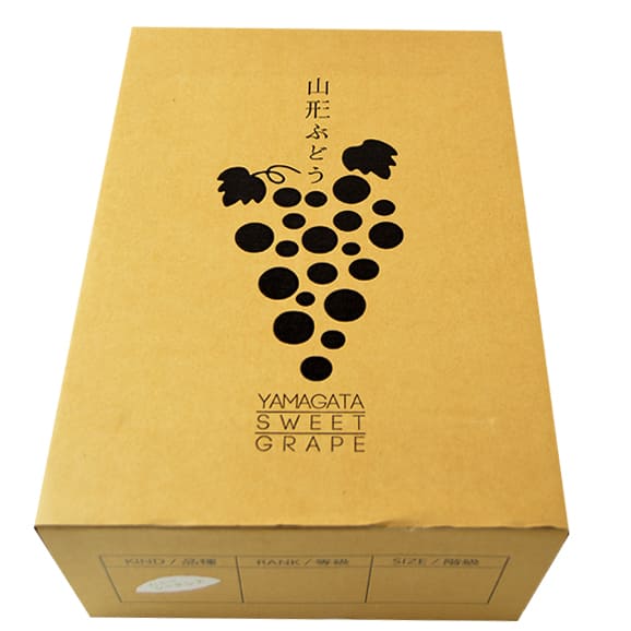 予約受付中：9月上旬頃より発送予定|松田さんのぶどうハニーシードレス約2kg(8房前後)06