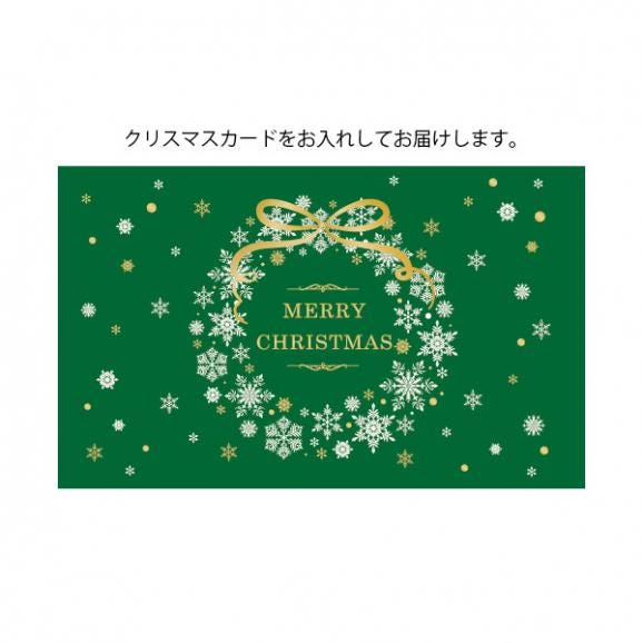 【クリスマスギフト】山形県産［雪芽いちご］Lサイズ×15粒04