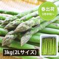 2026年3月頃～予約開始予定|極太銀山アスパラガス3kg(2Lサイズ)＜春出荷＞