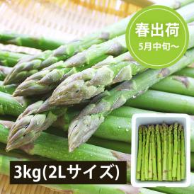 2026年3月頃～予約開始予定|極太銀山アスパラガス3kg(2Lサイズ)＜春出荷＞