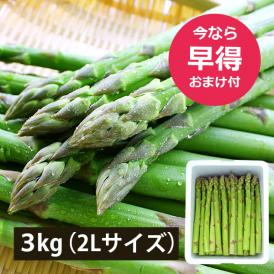 予約受付中：5月中旬頃より発送予定|【早得おまけ付き】極太銀山アスパラガス3kg(2Lサイズ)