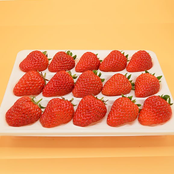予約受付中：3月中旬頃より発送予定|朝摘みいちご15粒入04