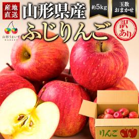 《訳あり》山形のふじりんご約5kg(玉数おまかせ)