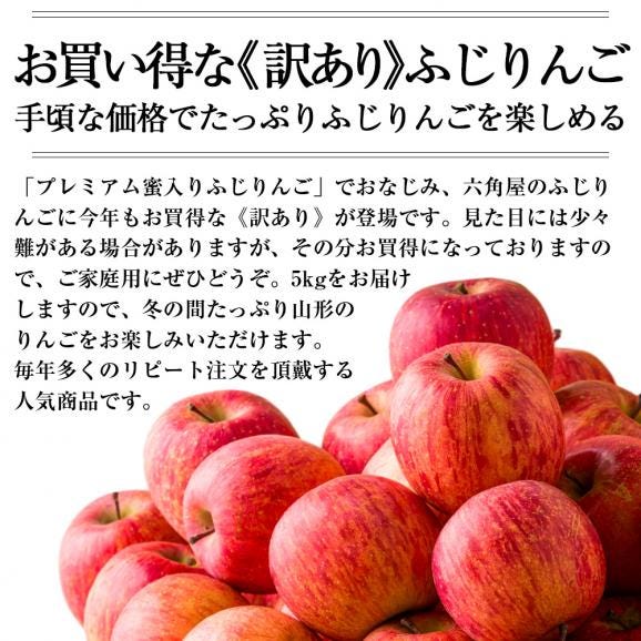 《訳あり》山形のふじりんご約5kg(玉数おまかせ)03
