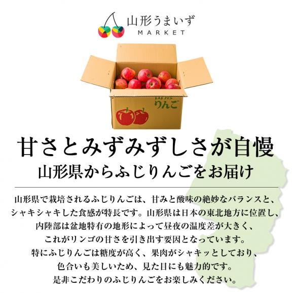 《訳あり》山形のふじりんご約10kg(玉数おまかせ)02