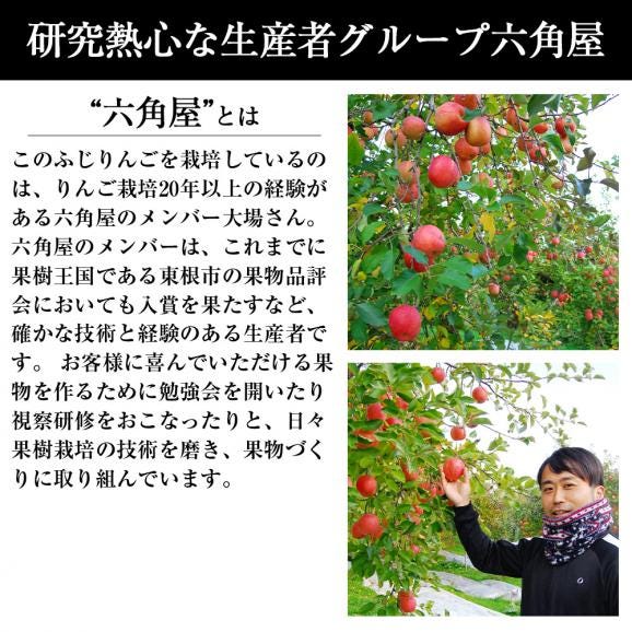《訳あり》山形のふじりんご約10kg(玉数おまかせ)04