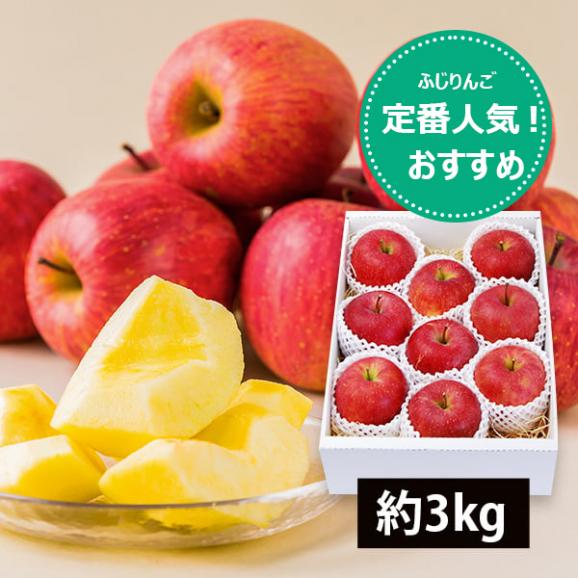 予約受付中：11月下旬頃より発送予定|プレミアムふじりんご約3kg(7～12玉)01