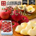 プレミアムふじりんご約5kg(12～20玉)