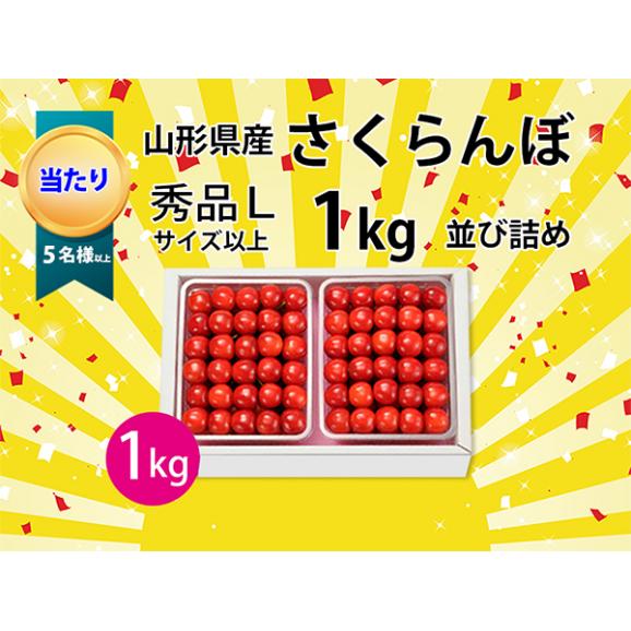 山形県産さくらんぼ1kgラッキーくじ03