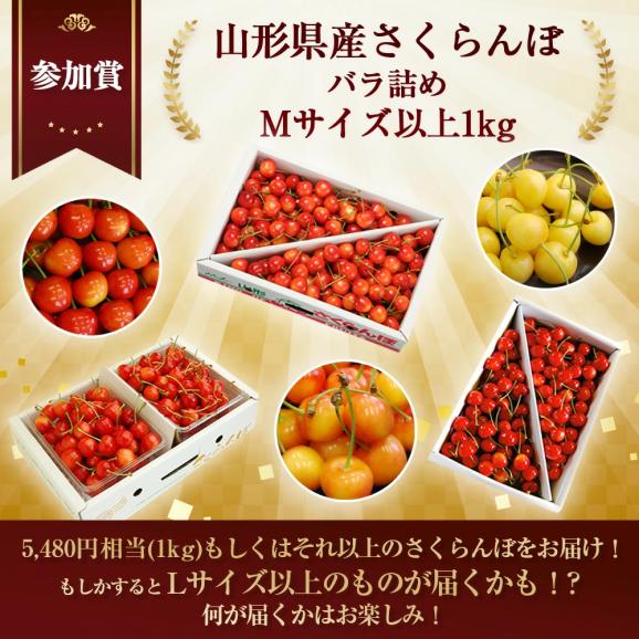 山形県産さくらんぼ1kgラッキーくじ05