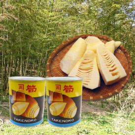 山形のたけのこ水煮缶詰(谷定孟宗)大2缶セット(500g×2)