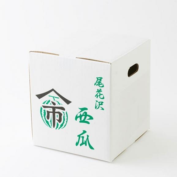 2025年6月頃～予約開始予定|尾花沢すいか1玉(2～3Lサイズ)04