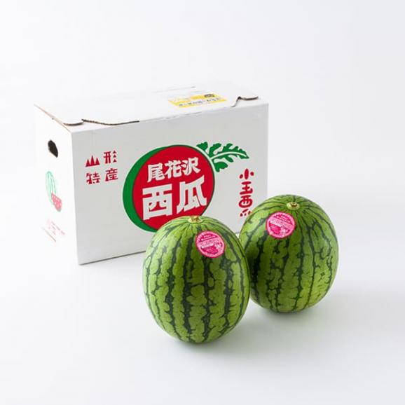 予約受付中：7月下旬頃より発送予定|小玉すいか ピノガール2玉(約1.8kg×2玉)06