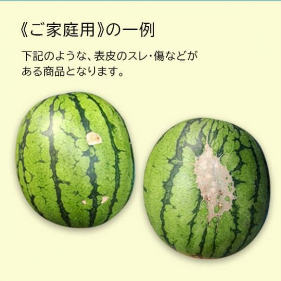 予約受付中：8月中旬頃より発送予定|《ご家庭用》小玉すいか ピノガール2玉(約1.8kg×2玉)03